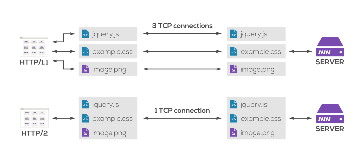 HTTP/1.1 and HTTP/2 connections